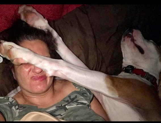 CeeObe's tweet photo. There’s a National Puppy Day? Ok meet Rosscoe Bosscoe. He loves all dogs big or small, he’s a level 2 puppy grad with 3rd class coming, his favorite toy is any stick and he doesn’t know much about personal space ( slide to 2nd pic 😆 )
#puppylovers #dogsareamazing
#doglife https://t.co/58p36x4HIv
