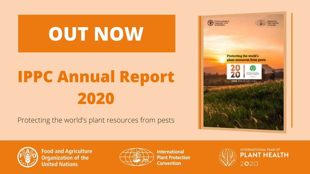 📢 The IPPC Annual Report 2020 is out now!

🌱🌿🌳🌲🌻

By protecting plants from pests &amp; diseases, the global #PlantHealth community helps...

🌳 sustain life on Earth
🍎 boost food security
🐝 protect biodiversity
🚢 ensure safe trade

➡️ bit.ly/3cg6bMI

#IYPH
#WTOsps