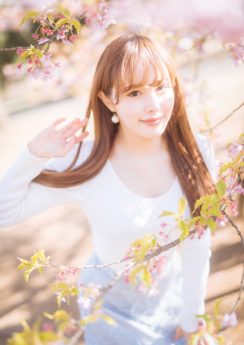 yosuk_ex's tweet photo. *
　*
Spring has come. 
　　　*
　　　　*
 𝐴 𝑜 𝑖. ☪︎ ｡* @Aoiptgp https://t.co/sVrf5LeUcO