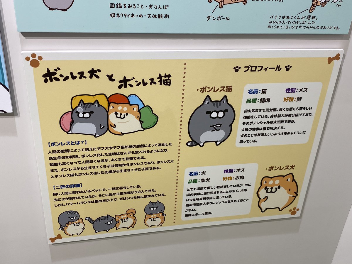 最も選択された ボンレス猫 壁紙 1252 ボンレス猫 ボンレス犬 壁紙 最も選択された ボンレス猫 壁紙 1252 ボンレス猫 ボンレス犬 壁紙