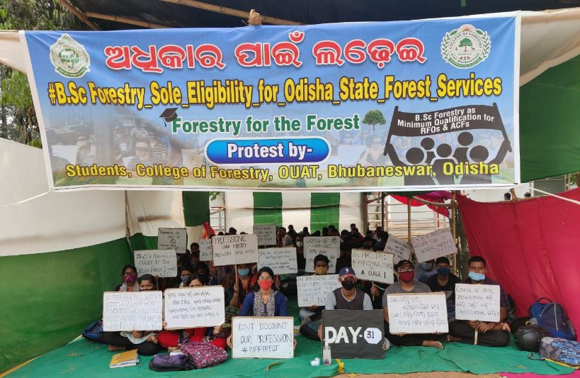 RPremila1's tweet photo. 31 days of demonstrating perseverance, determination.

#BScForestry_Sole_Eligibility_for_Odisha_State_Forest_Services 
@PMOIndia
 
@moefcc
 
@CMO_Odisha
 
@BKArukha
 
@dr_arunsahoo
 
@PrakashJavdekar https://t.co/Q5zxUkpCqf