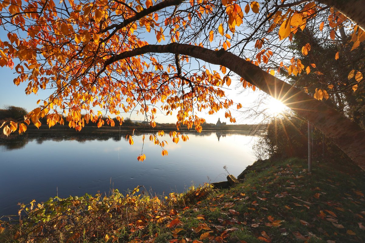 UniOfGalwayHub's tweet image. It&apos;s #NationalTreeWeek2021
 
Our campus is home to @nuigalway biodiversity trail- which houses a diverse range of species &amp;amp; highlights our wonderful woodland areas.  

Take a virtual tour here 👇nuigalway.ie/biodiversitytr…

📸 @ZhangChaosheng 

#NUIGWhatsOn @NUIGsustain @NUIGSU