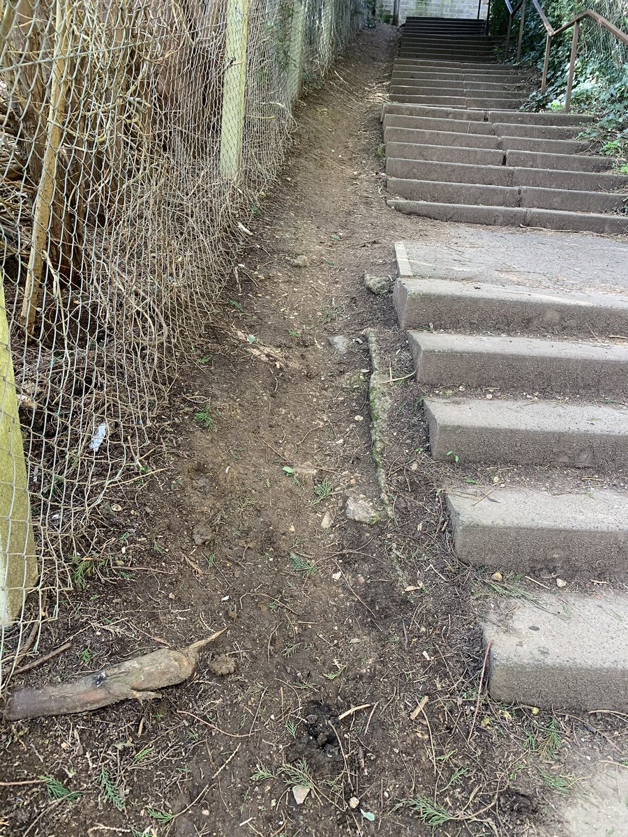 sdc_wardens's tweet photo. When #CashesGreen meets #Paganhill
➡️The Communities told us they were concerned about littering 🚮and broken glass.
➡️We acted upon this and Bev and Craig carried out separate litter-picks and unknowingly met in the middle of the pathway, known locally as “the dump”. https://t.co/Siek1NNwwE
