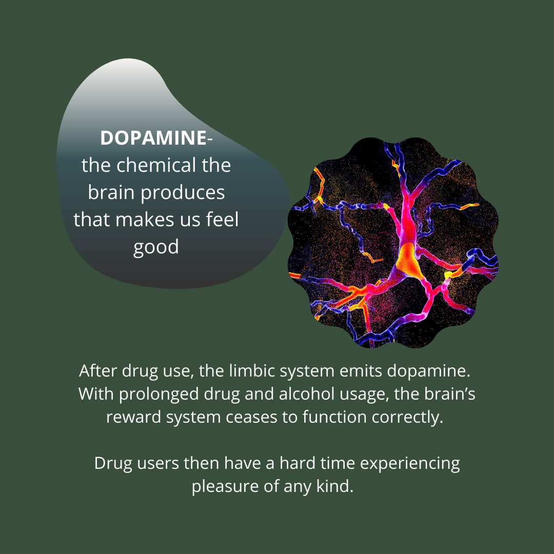 mrbcounseling7's tweet photo. Part1:🧠 Our brains are very complex organs made up of many parts that work together to help us function. 
Addiction affects the way people function. When people use drugs, those harmful substances can cause long term, harmful effects on the brain. #NDAFW #drugandalcoholfactsweek https://t.co/98PZAsCLdN
