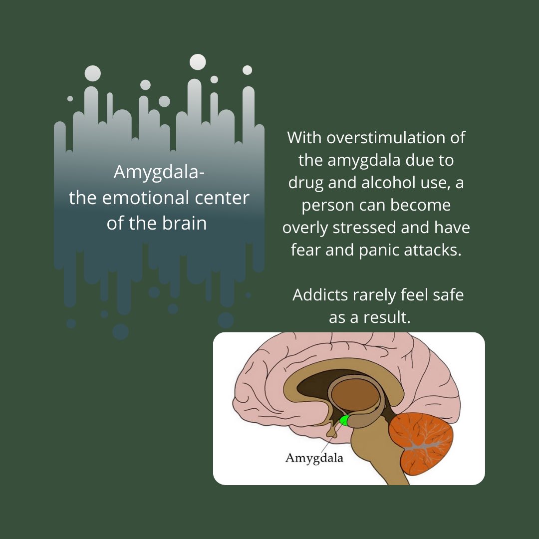 mrbcounseling7's tweet photo. Part2:🧠
Addiction affects the way people function. When people use drugs, those harmful substances can cause long term, harmful effects on the brain. #NDAFW #drugandalcoholfactsweek https://t.co/06Ze2PRfw1