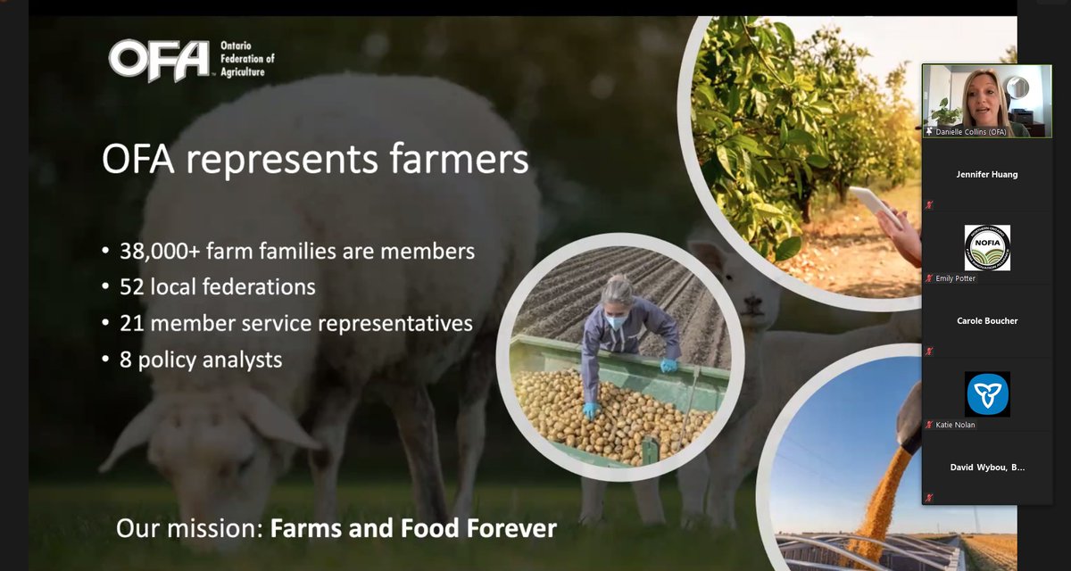 RegionalEcDevON's tweet photo. Danielle Collins, an #EcDev policy analyst from @OntarioFarms shares some info stats on the impact COVID-19 has had on the agri-food sector and some resources OFA has developed in response to it. #ONLocalFood @letsgrowfood https://t.co/7hMIpOFqMN