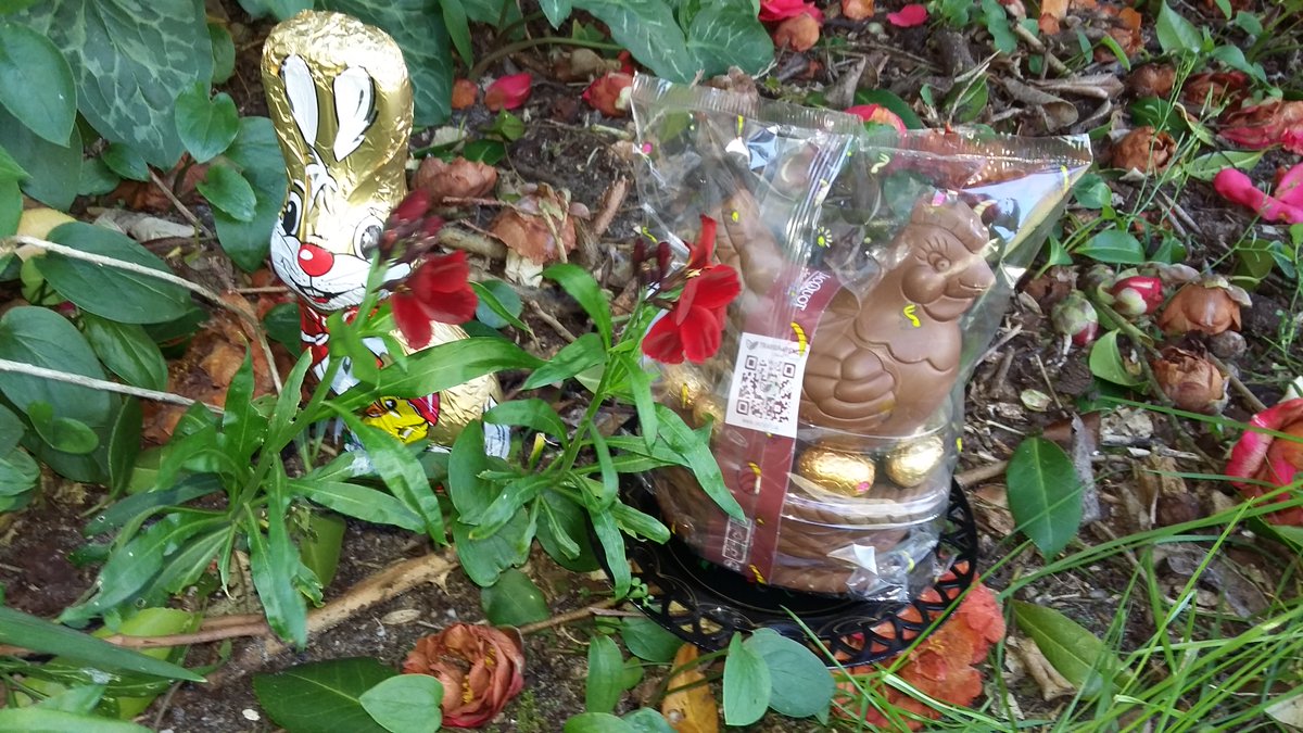 gites33's tweet photo. [Fête de Pâques] 🐣🍫😋
Partez à la chasse aux cocottes et lapins en chocolat dans le jardin du gîte Les Pins à Lège-Cap-ferret sur le Bassin d'Arcachon !
Il y en aura pour tous les enfants !
Réservez votre séjour ici ▶ https://t.co/RU05TNMX4P https://t.co/NXDtqQxdkF