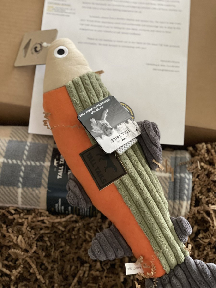 AllPetVoices's tweet photo. These arrived on our doorstep and we’re interested in learning more about @TallTailsTrail during #globalpetexpo! Both feel really well made and our resident Greyhound LOVES blankets!! #allpetvoices https://t.co/vzDjx5Jfn9