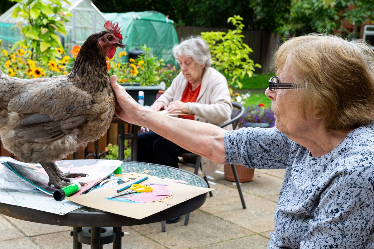 rebrand.ly/365DaysLaterIn… Since 23rd March 2020, working with over 100 partner organisations and with the generous support of funders like <a href="/ace_national/">Arts Council England</a> <a href="/TNLComFund/">The National Lottery Community Fund</a> <a href="/HeritageFundUK/">The National Lottery Heritage Fund</a> &amp; <a href="/SSE_Yorks_NE/">SSE in Yorkshire & North East</a>  amongst others, we had a whole lot of fun with all these older people around the UK