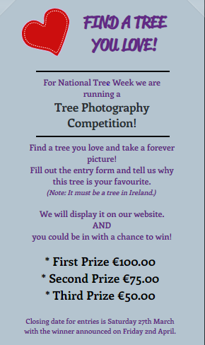 UniOfGalwayHub's tweet image. @TreeCouncil  📸 Competition! 

Have you been spending the last few months taking photographs? Have you found a tree you love? 

YES (I hear you say) Submit your photos below ⬇️

treecouncil.ie/nationaltreewe…

#NationalTreeWeek2021  #NUIGWhatsOn @NUIGsustain @ZhangChaosheng @NUIGSU
