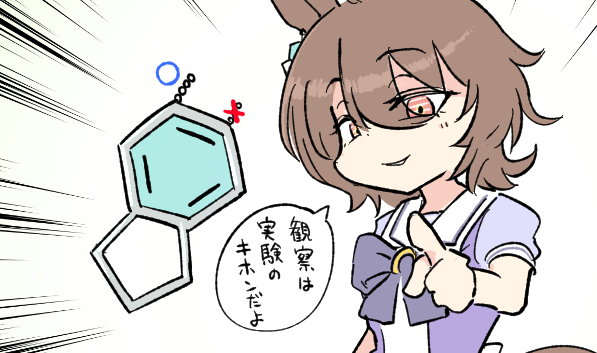 てかよく見たらこの絵もチェーンがついてる位置間違えてますね 