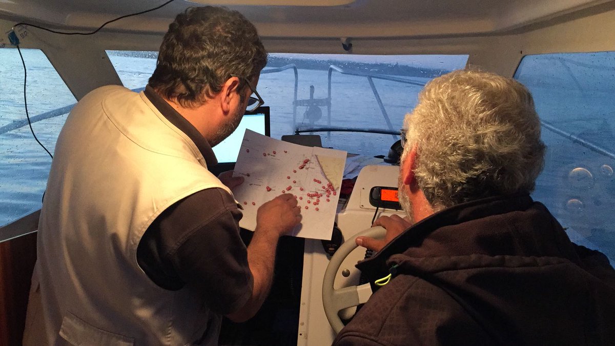 WWF_Med's tweet photo. As #COVID19 is forcing everyone to find new ways of connecting, #Mediterranean small-scale #fishers are also catching up with digital technologies and innovation & exchanging best practices to increase #sustainability. #SSFUniversity
Read our story 👉 https://t.co/pjyIPZGgP3 https://t.co/9FB7Mkh7br