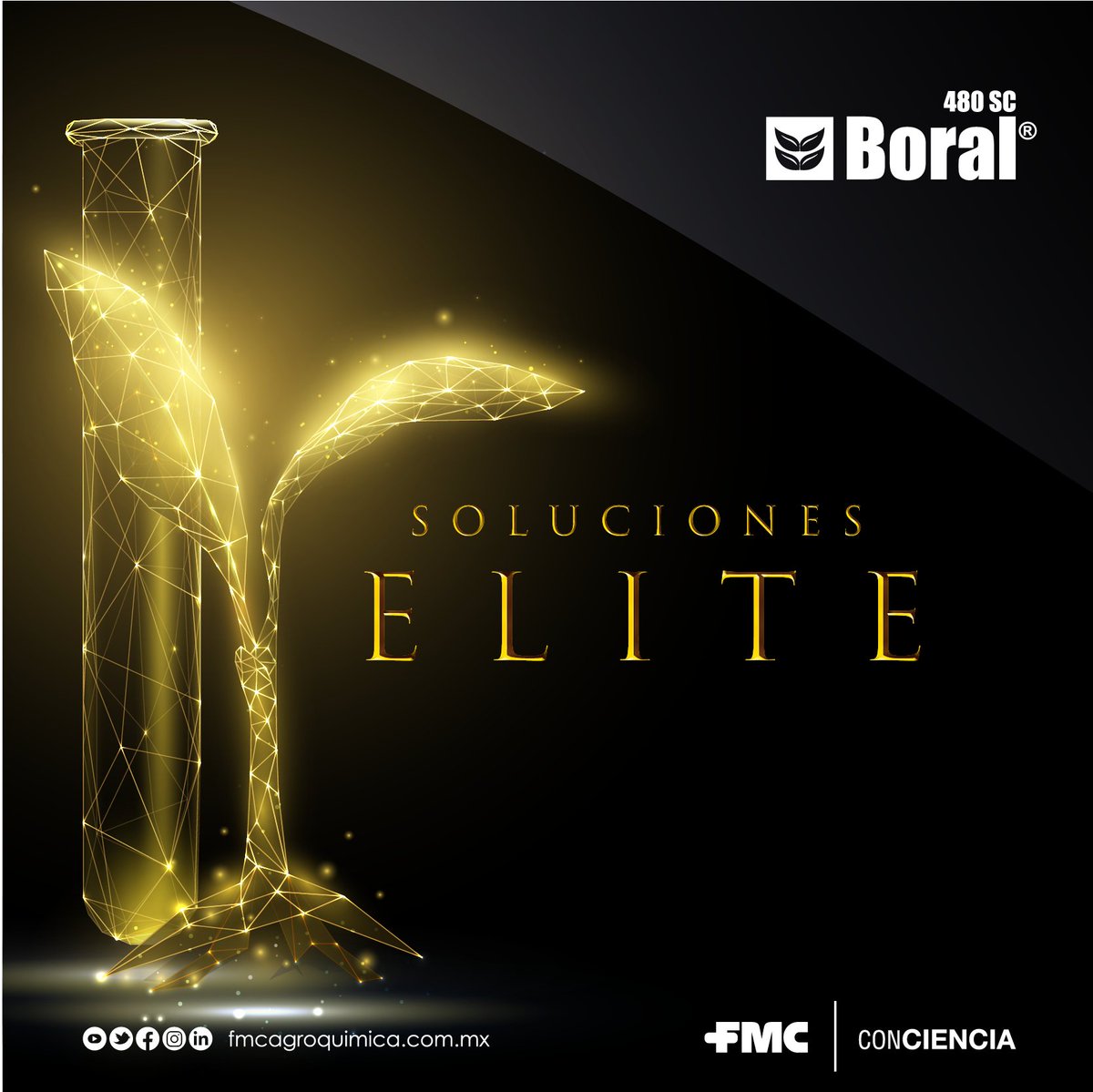 Rescata el valor de tus parcelas desde la primera aplicación con Boral😉, la #SoluciónElite que protege tu cultivo de malezas🤠👍🌱