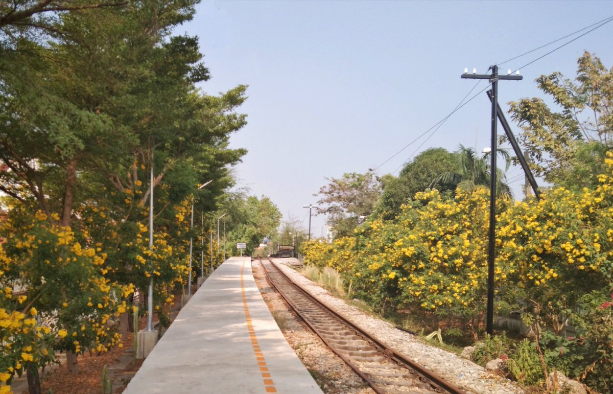 Arunillust's tweet photo. Continent: Asia (SE. Asia)
Location: Bangkok,Thailand
Chom Thong Station, a small train station in the old town and many old temples
(This area used to be a cemetery.......Yabe)
#HaatoWWTourGuide https://t.co/t8f1ZS2yth