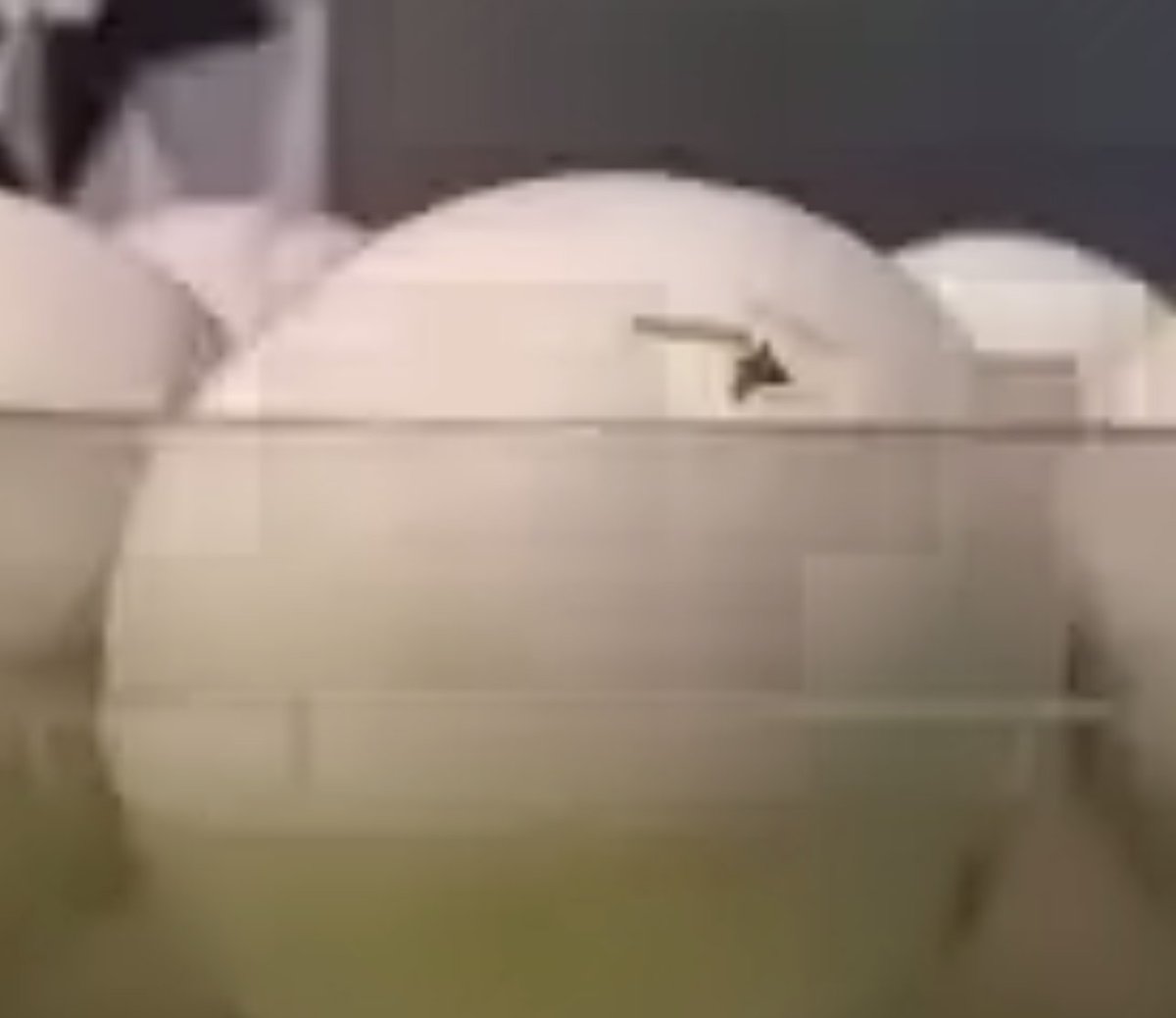 MrSzpirglas's tweet photo. Very excited to see the beginning of #duckhatching with @mfrank_76 @EVS_YRDSB https://t.co/tKNj7NX2ME