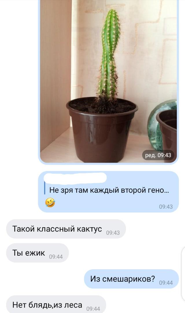 anagora3's tweet photo. 🤡

#Атакатитанов https://t.co/smE0elMl30