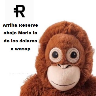 holareserve's tweet photo. María, esto es contigo, te tenemos pillada. 

Mosca 🤨 https://t.co/4EOrR9XPNJ