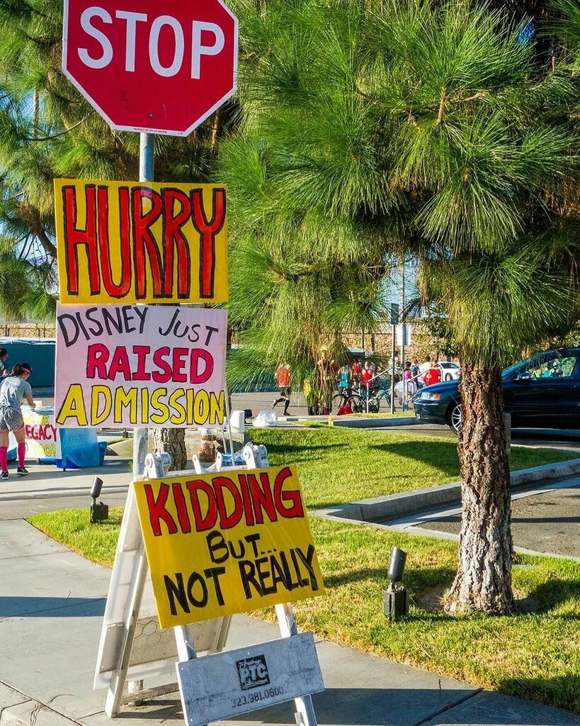 teamrundis's tweet photo. What is the best sign you've seen along a race course? #TeamrunDisney #TrDRunningClub #runDisney
•
#Disney #DisneylandHalf #DumboDoubleDare #Running #Runnergram https://t.co/XljATfhcdc https://t.co/pPnc9hfCcR