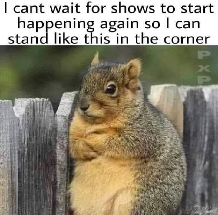 sonic1029's tweet image. I'm not a great dancer but I am a great observer. 
- @brooklynpvg 
#concert #pandemic #squirrel #letsboogie #yeg #yeggers #areyousonic #sonic1029