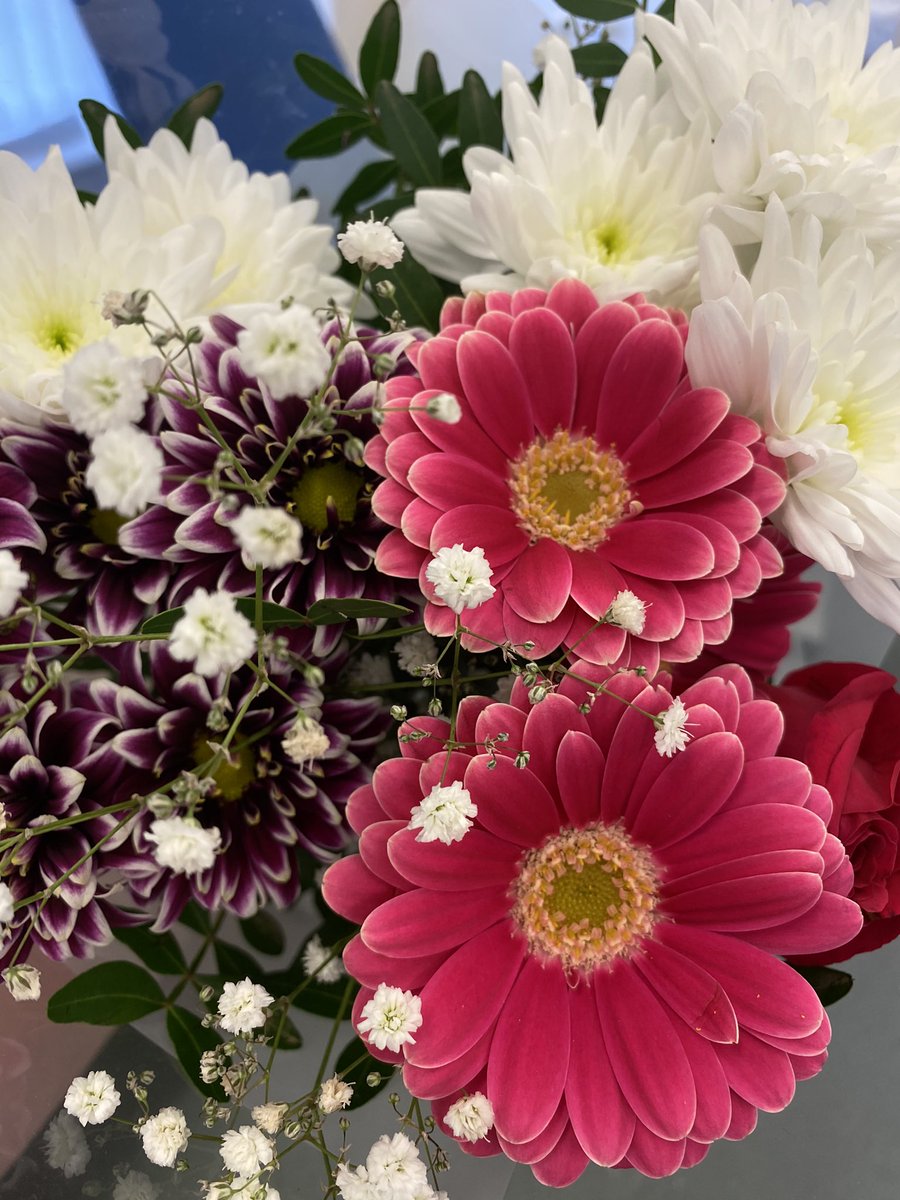 Aww, gorgeous thank you flowers from a patient today! Presented with Fontaine stage IV, toe pressures✔️ referral to vascular✔️ angioplasty✔️ = happy patient who can sleep with no rest pain, heal her previously painful wounds and can now weight-bear on her heel! ❤️ #teamwork