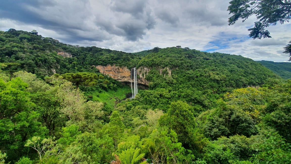WWS_Haato_Photo's tweet photo. [Submissions via Google Form]
continent: S. America

Waterfall in the mountains of Canela, Brazil

***Please submit spot photos via twitter if able. 
***We need your tweet to make this project successful!
#HaatoWWTourGuide https://t.co/CGzvM6m0Lc