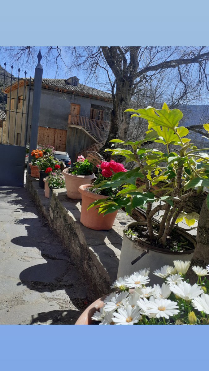 Esclata la primavera