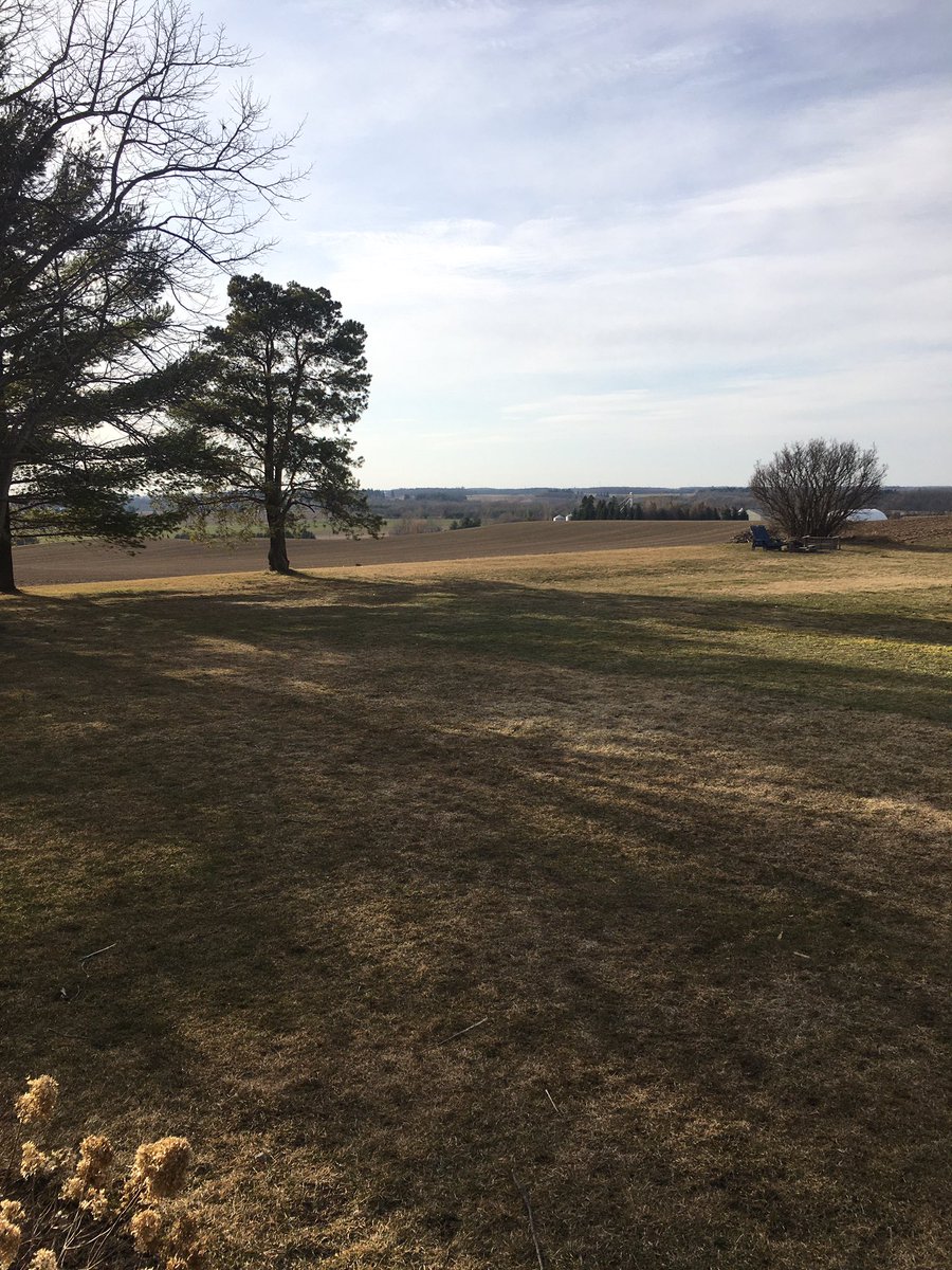 Before and after. The #backyardrink is done...for good.