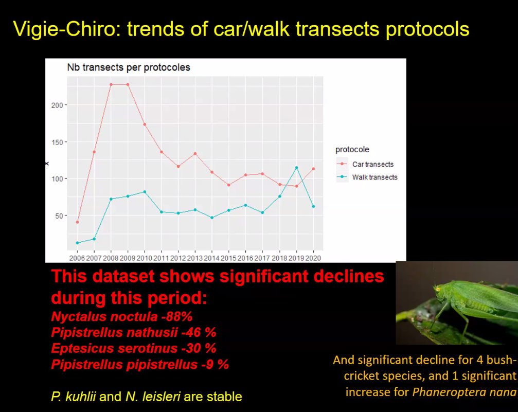 6thIBBM's tweet photo. Long-term (15 years) bat acoustic #monitoring with an automatic classifier shows declining of some #bat species 
&amp;
With more reference data, auto id will further improve
by Yves Bas #6thIBBM #CitizenScience https://t.co/U22iDG9Okh