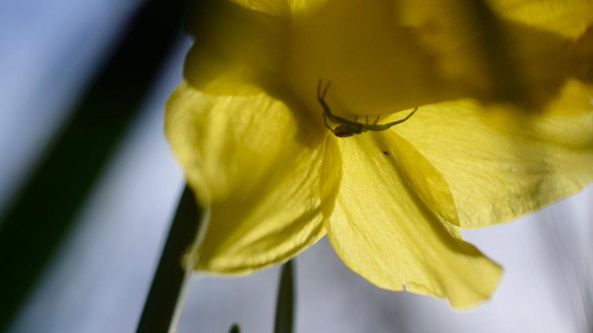 maritklapwijk's tweet photo. Tijd voor nieuwe energie en een stapje dichter bij jezelf? Op 3 april organiseer ik een lente inspiratiewandeling. We gaan op pad, staan stil, reflecteren, zetten bewuste stappen om daarna met een flinke bak nieuwe energie en inzichten naar huis te gaan. https://t.co/VrhCSIOGrB https://t.co/WCUwplh7KD