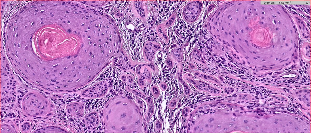 Maite Fdez Figueras tweet media