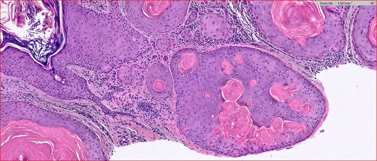 Maite Fdez Figueras tweet media