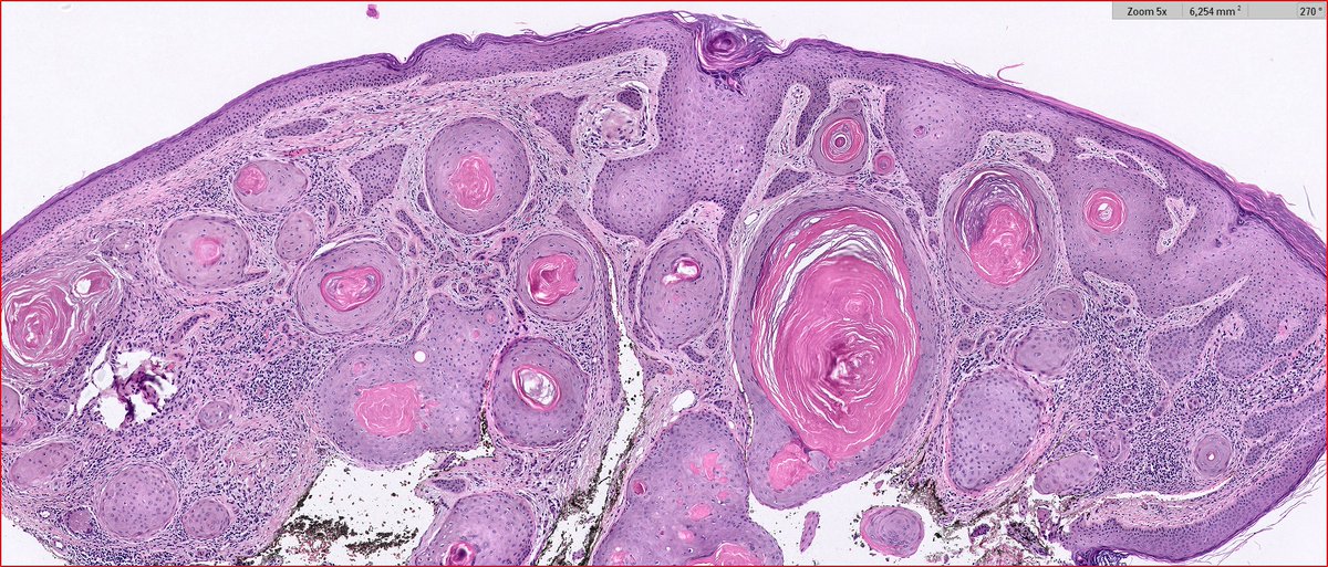 Maite Fdez Figueras tweet media