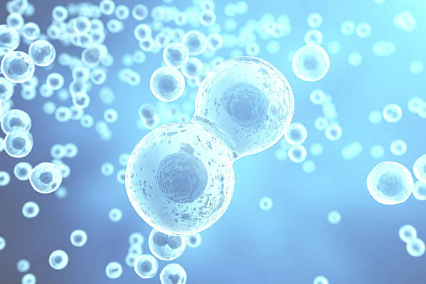 Artificial Intelligence and Top-Quality Embryo Selection process - latest modern technology in IVF. 

Learn on our blog ⬇️
bit.ly/3chXKjX
