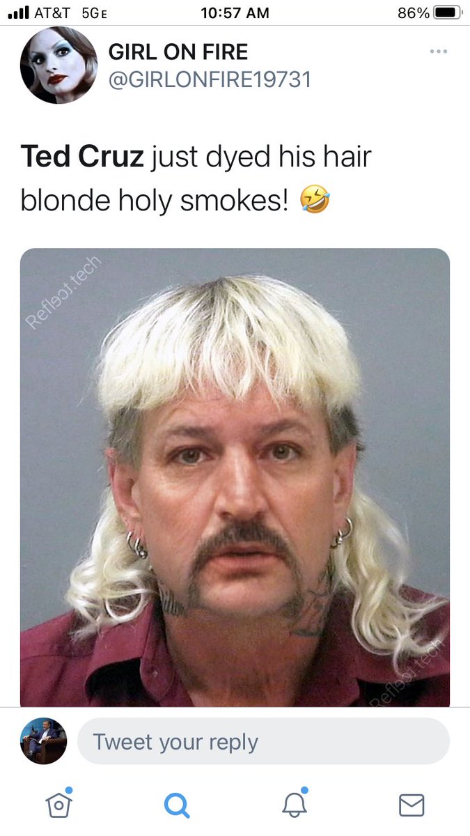 Mr. Newberger on Twitter: "@tedcruz The difference is the blonde Ted Cruz  went to jail for lying. The brunette one, not so much." / Twitter