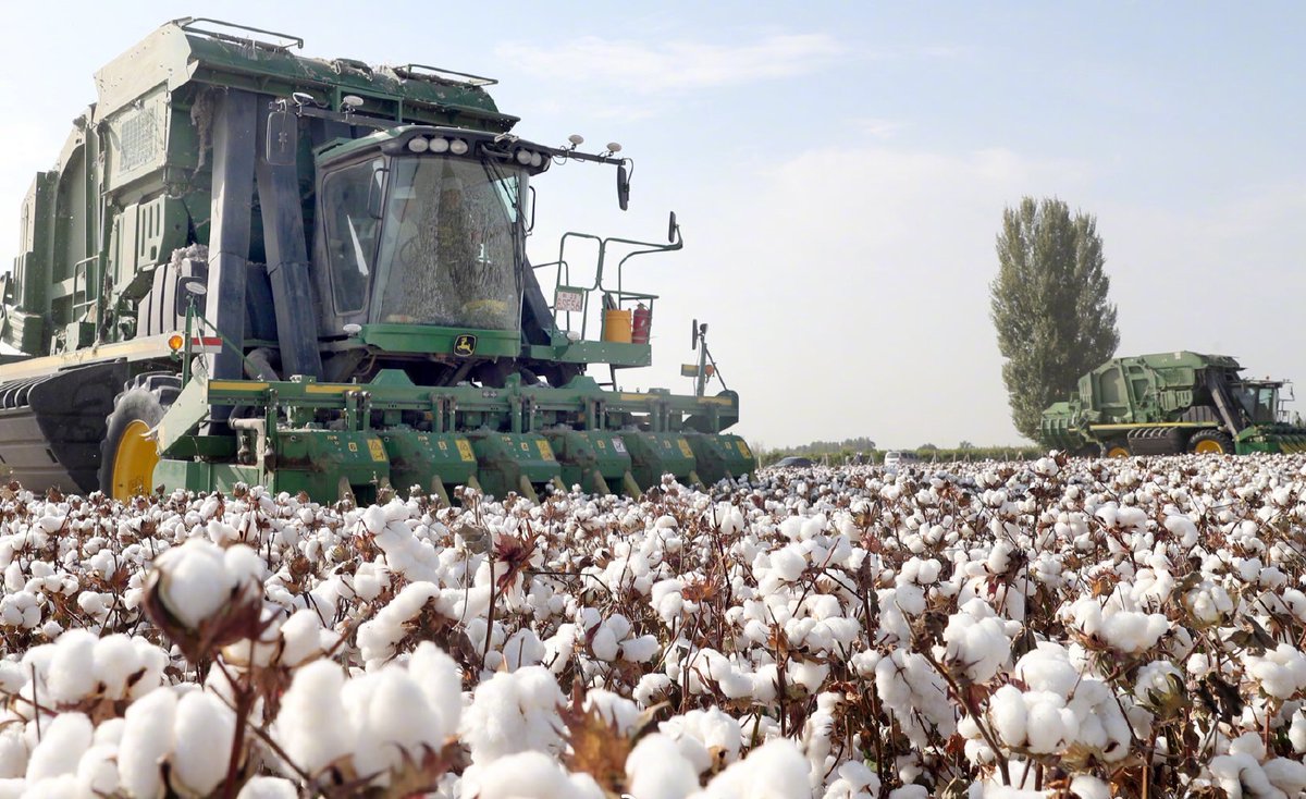 peijin_zhang's tweet photo. Had the Americans lived with slavery for too long that they want to associate everything with forced labor?! #Xinjiang cotton is best of the best https://t.co/5j3QqTIBza