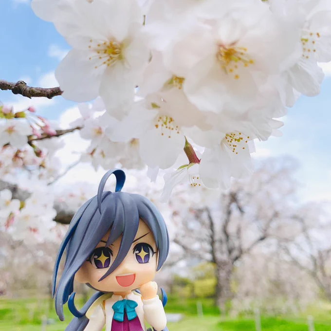 福岡城跡の桜が満開!
近くにかわいいカフェも 