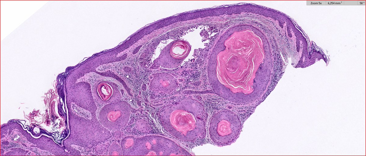 Maite Fdez Figueras tweet media