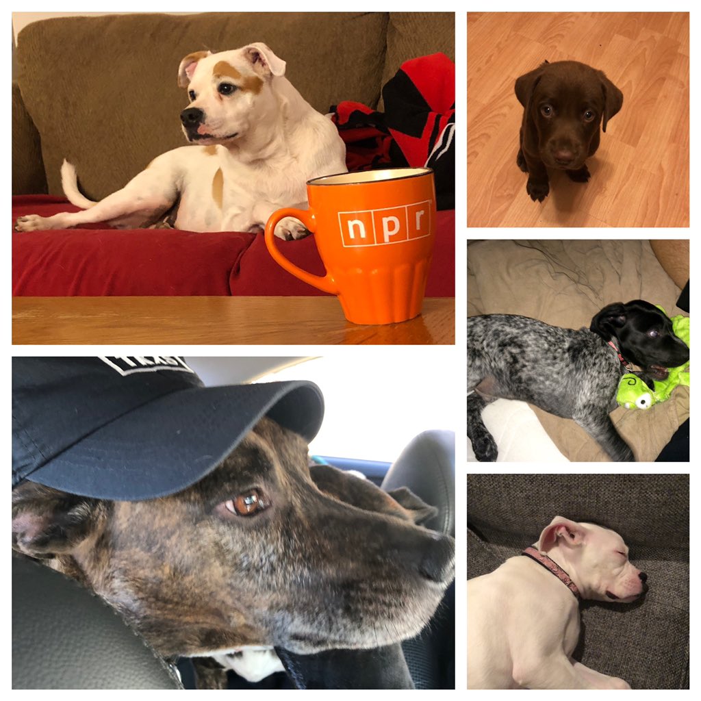 NC State Crafts Center tweet media