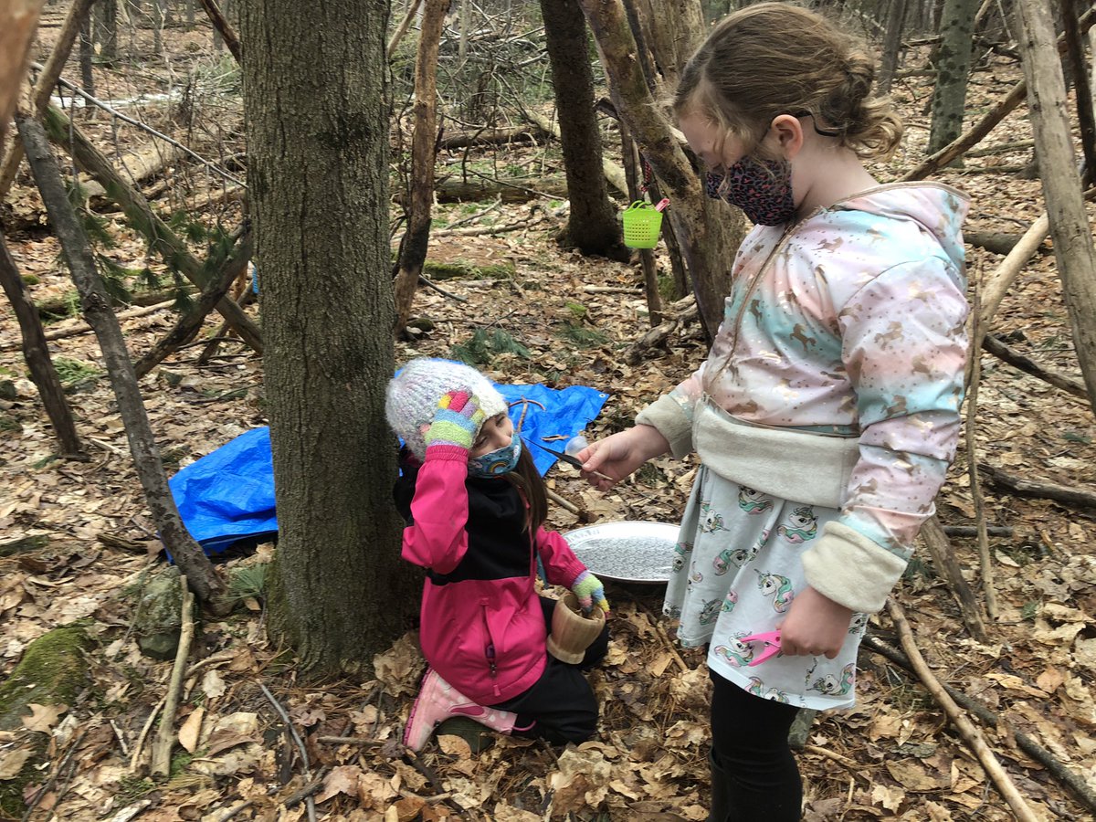 VanZeelandPower's tweet photo. Forest school play is very productive! https://t.co/jNsEmsotlU