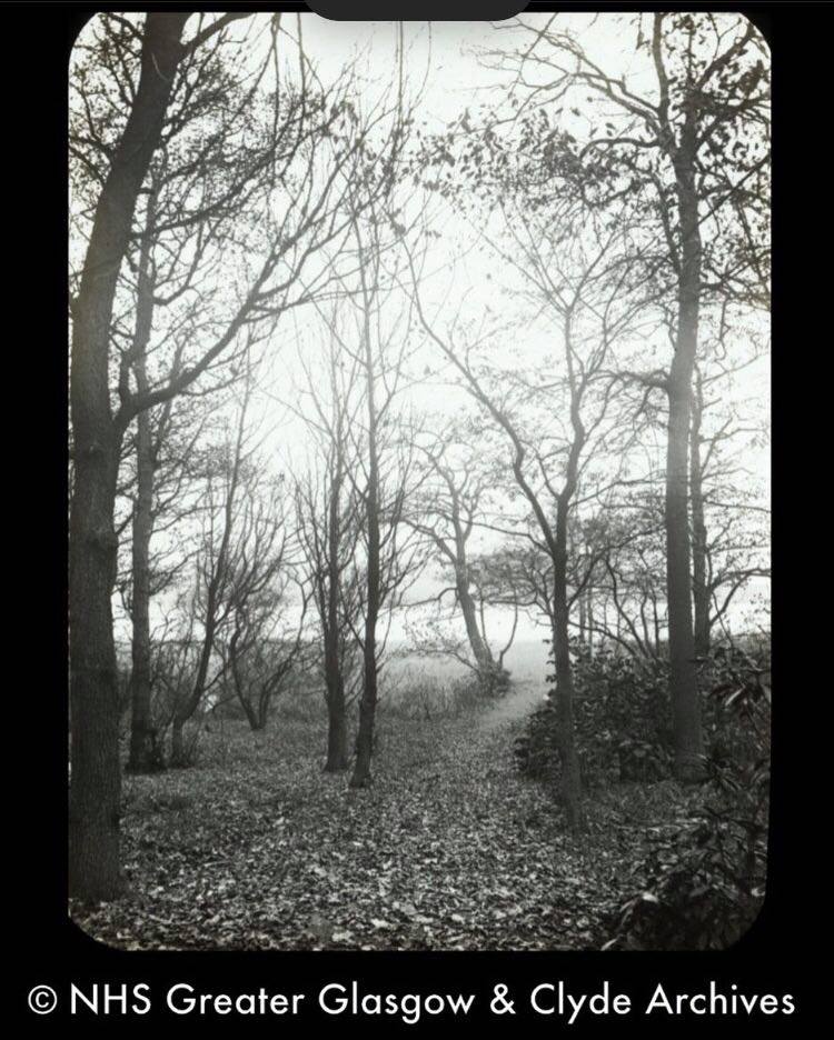 PlatformGlasgow's tweet image. "Today there is hidden access to the loch which adds to its enigmatic appeal" 

This picture was one of the favourites of artist @Audsvisual while she was researching local history &amp;amp; archive photography for #ASenseOfBishopLoch project with @SevenLochs and @ForestryLS