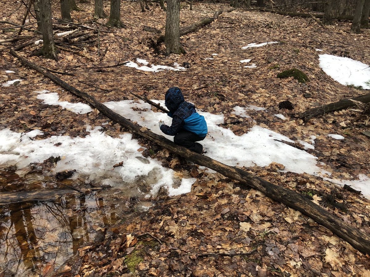 VanZeelandPower's tweet photo. New discoveries in forest school! https://t.co/cGb95IlHNw