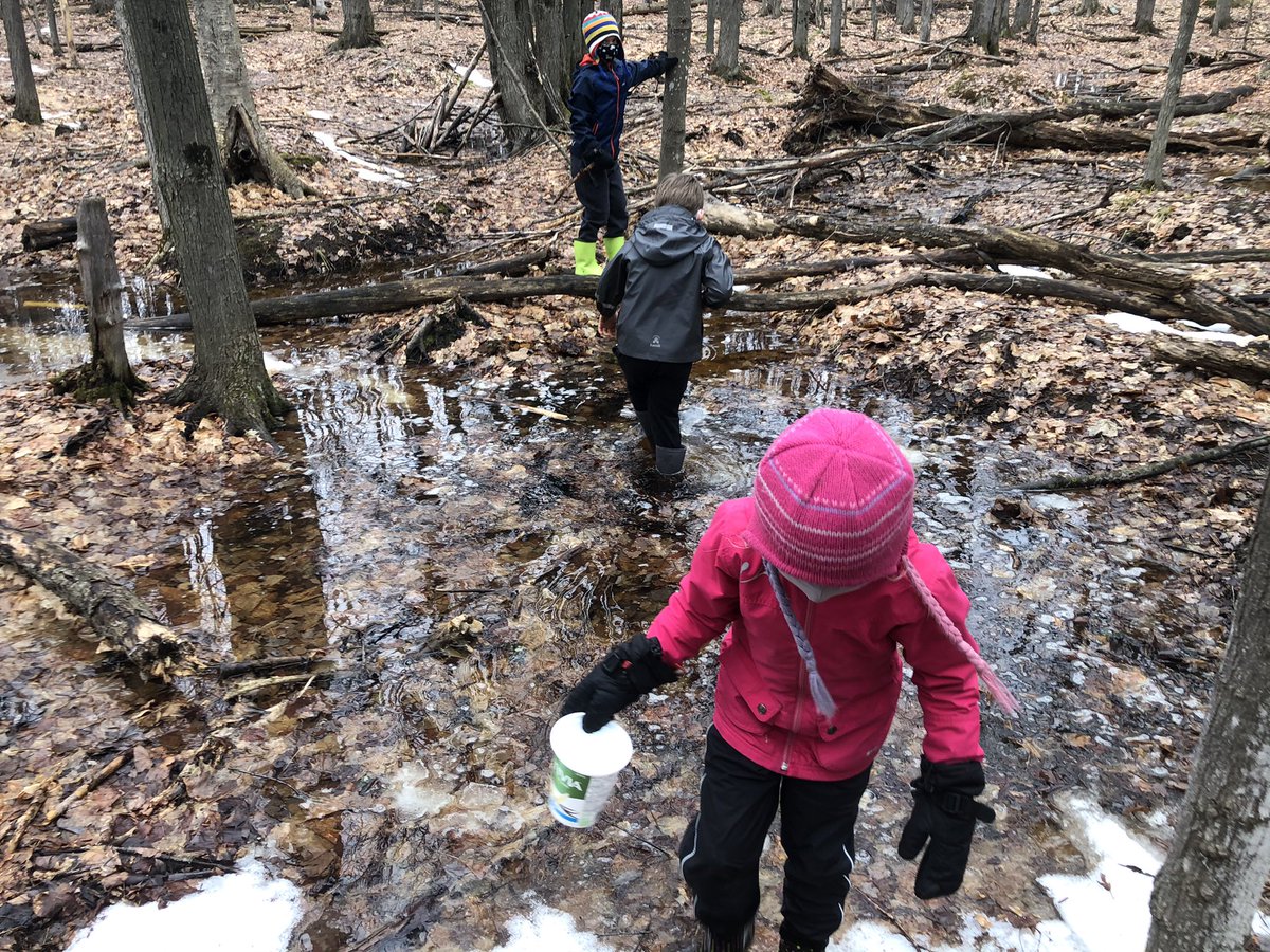 VanZeelandPower's tweet photo. New discoveries in forest school! https://t.co/cGb95IlHNw