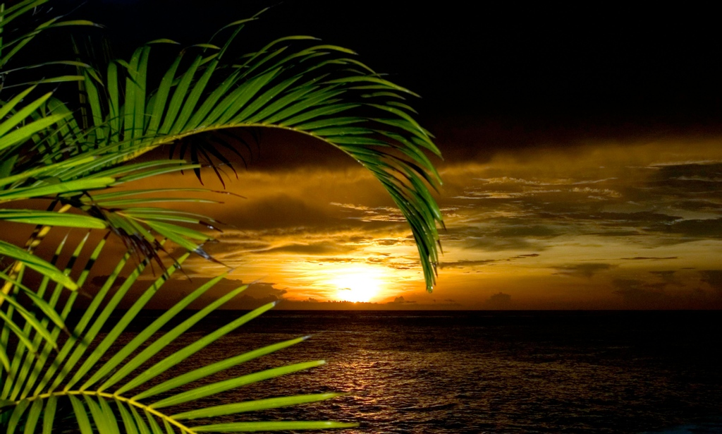 TheCavesHotel's tweet photo. Perfect days have perfect sunset endings.
#TheCaves #Romancefactor #Negril #Wanderlust #Reawakenyourspirit #sunsets #Jamaica https://t.co/UpYbqjcTML