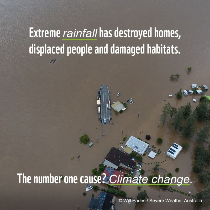 NIP's tweet photo. We need #ClimateAction now.

@WWF | 🐼 https://t.co/uQxQndtMsK
