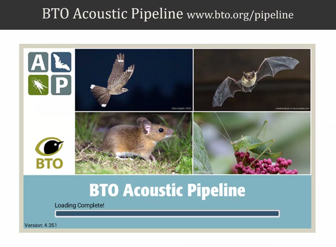 6thIBBM's tweet photo. Passive bat acoustic monitoring by #citizens can produce large scale data
&amp; Online platforms help building reference libraries of #bat and other #wildlife species 
 @NewsonStuart  #6thIBBM https://t.co/ee08Vq4diT