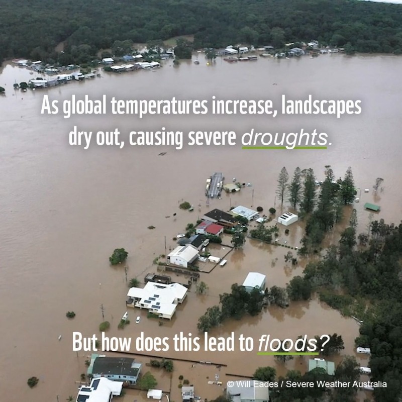 NIP's tweet photo. We need #ClimateAction now.

@WWF | 🐼 https://t.co/uQxQndtMsK
