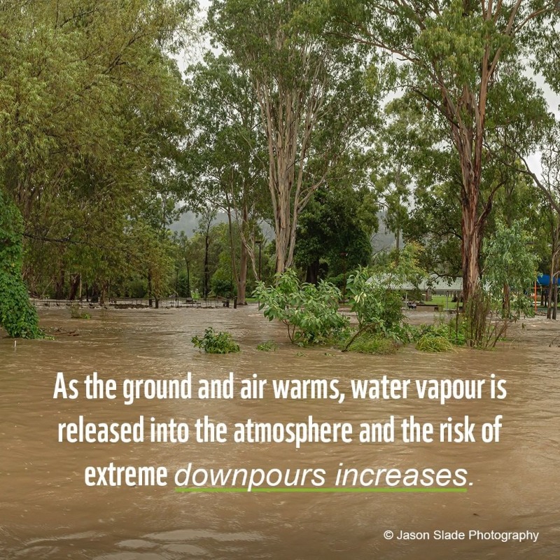 NIP's tweet photo. We need #ClimateAction now.

@WWF | 🐼 https://t.co/uQxQndtMsK