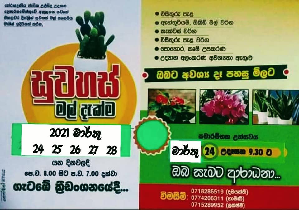 KandyinStyle's tweet photo. මහනුවර මල් වගාකරුවන්ගේ සංගමය විසින් සංවිධානය කරනු ලබන #සුවහස්මල්දැක්ම 2021 අද දිනට සිට දින 5ක් පුරා මහනුවර ගැටඹේ ක්‍රීඩාංගනයේ පැවැත්වේ. https://t.co/nYQHeML3dh