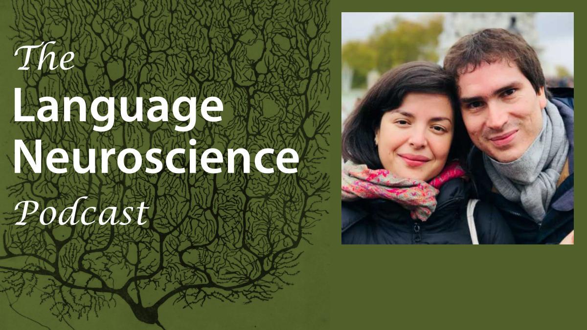 smwilsonau's tweet image. Episode 5 of the Language Neuroscience Podcast is now up! A fascinating chat with @AGajardoVidal and Diego Lurca-Puls about their new paper making the case that damage to Broca's area doesn't cause long term expressive aphasia. @PLORASResearch #aphasia langneurosci.org/podcast/