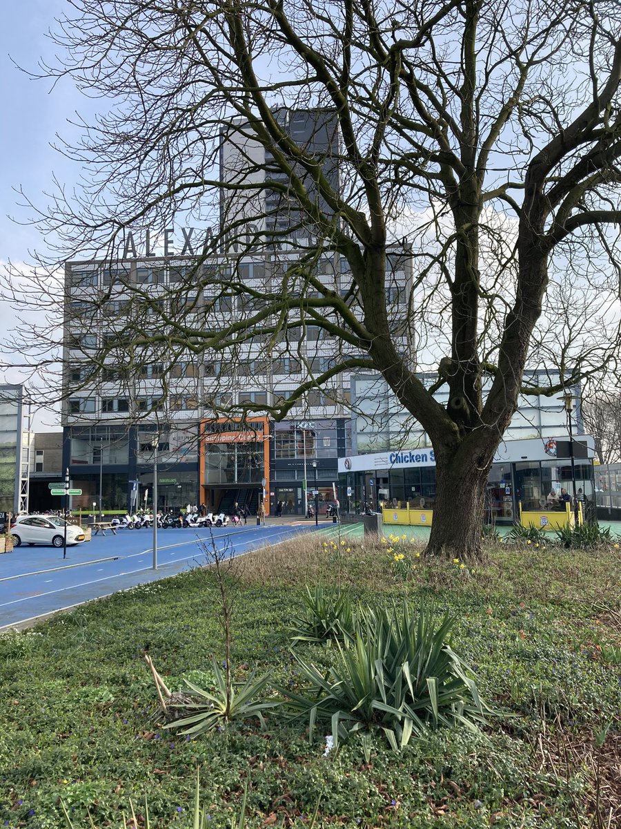 bertwijbenga's tweet photo. Volgende week het gras er in, en dan is Alexanderplein klaar voor het voorjaar. De echte permanente verbetering wordt met de ondernemers en bewoners ontworpen. #big7 #Stadsprojecten #RotterdamSterkerDoor @College010 @Stadmakers010 https://t.co/r1cKZPz9vq